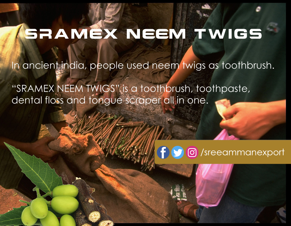 Neem tree sticks selling on streets, used as toothbrushes for centuries.  (Photo by Robert Nickelsberg/The LIFE Images Collection via Getty Images/Getty Images)